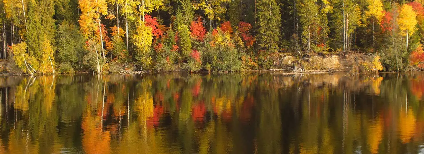 Ośrodek wypoczynkowy "Czapla" Mostowo Ośrodek wypoczynkowy "Czapla" Mostowo